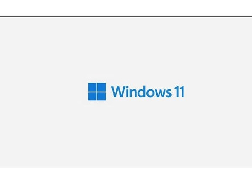 รหัสลิขสิทธิ์ PC Windows 11 Pro X21 Coa สติกเกอร์พร้อมรหัสผลิตภัณฑ์โฮโลแกรม Win 11